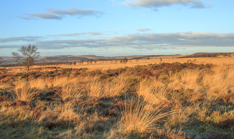 Stoke Flat